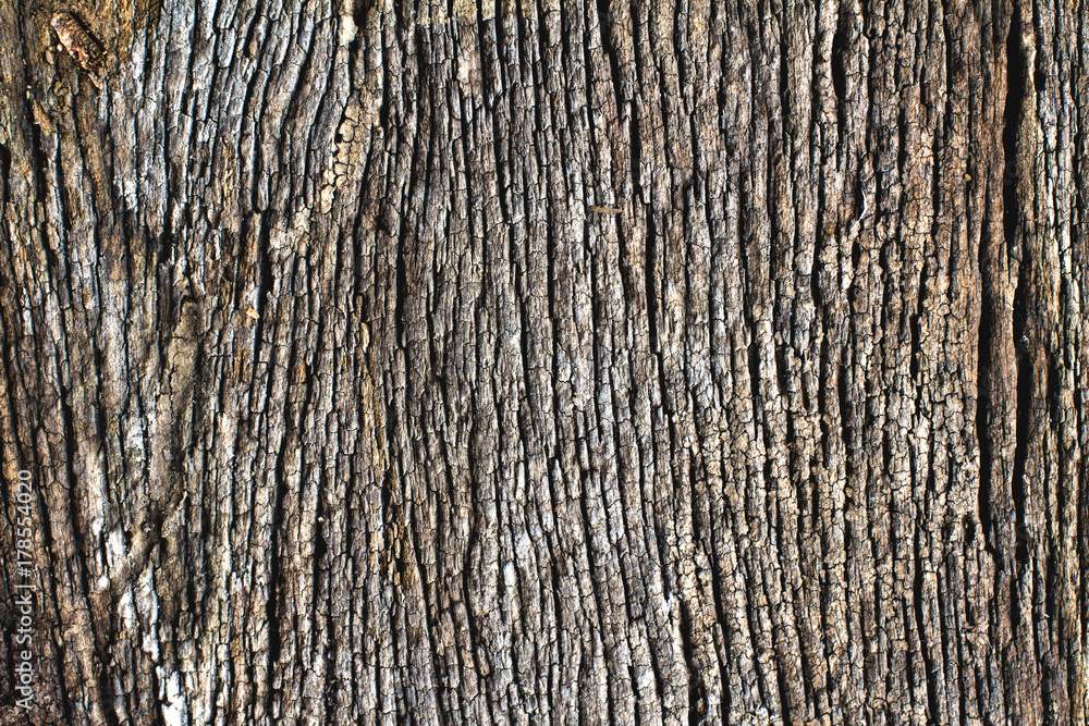 Abstract background surface is uneven and rutted, rough wood of old.Old Wood Texture. Abstract background surface is uneven and rutted, rough wood of old.Old Wood Texture.