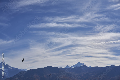 Kreisender Adler über den Walliser Bergen © berner51