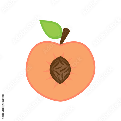 Peach vector illustration graphic, peach fruit cut in half with stone or pit, stalk and green leaf. Isolated on white background.