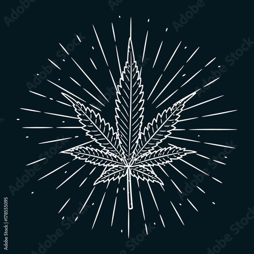 Hand drawn vector illustration with Cannabis leaf on blackboard. Used for poster, banner, t-shirt print, bag print, badges and logo design.