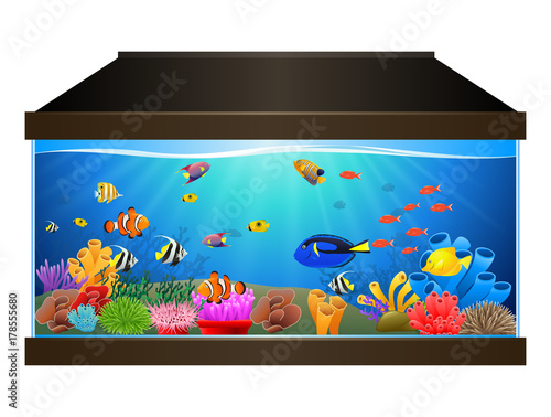Aquarium with fish and corals. Marine aquarium. Vector illustration