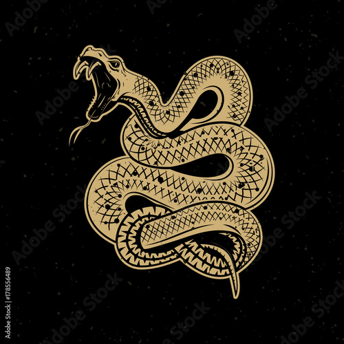 Viper snake illustration on dark background. Design element for poster, emblem, sign. Vector illustration