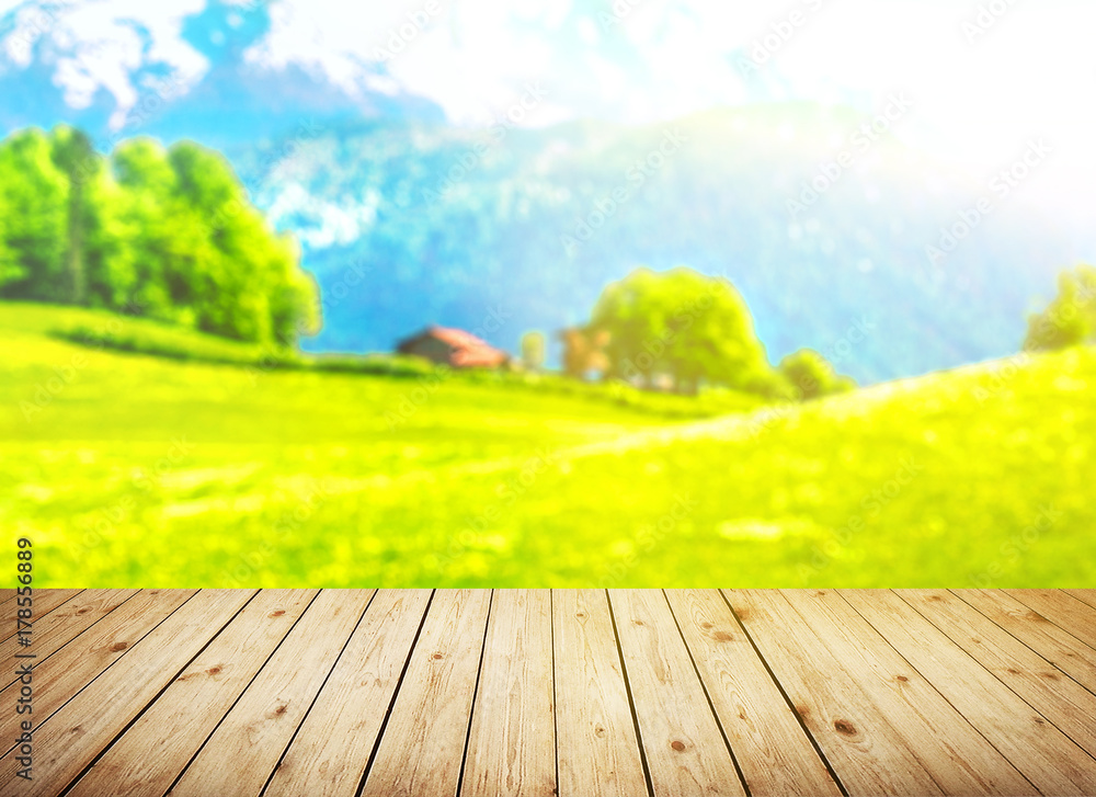 Blurred of trees view background. Panoramic banner for montage product display or design key visual layout. Blurred of trees view background. Panoramic banner for montage product display or design key visual layout.