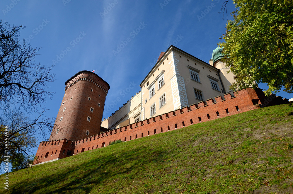 The castle in Krakow, Poland (Wawel)