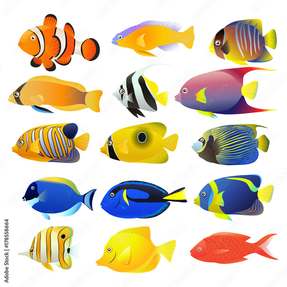 Sea fish collection isolated on white background. Vector illustration