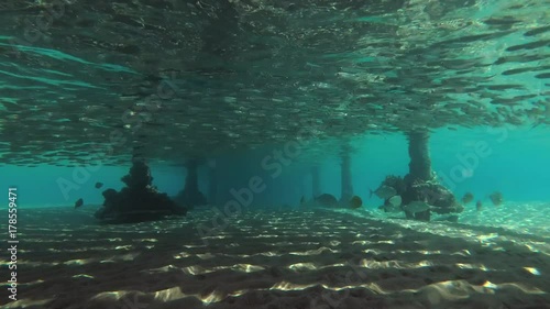 School of Orangespotted Trevally (Carangoides bajad) hunts under a pier on a massive bank of young Hardyhead Silverside (Atherinomorus lacunosus), Red sea, Marsa Alam, Egypt
 photo