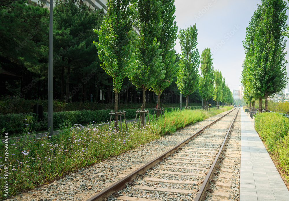 Fototapeta premium landscpae of old railway park