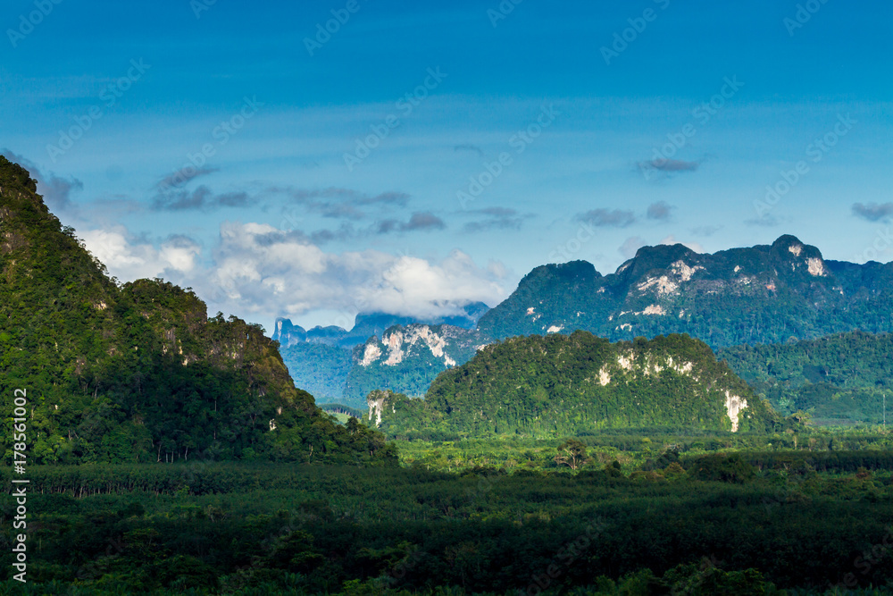 Fototapeta premium tropical rainforest in thailand.