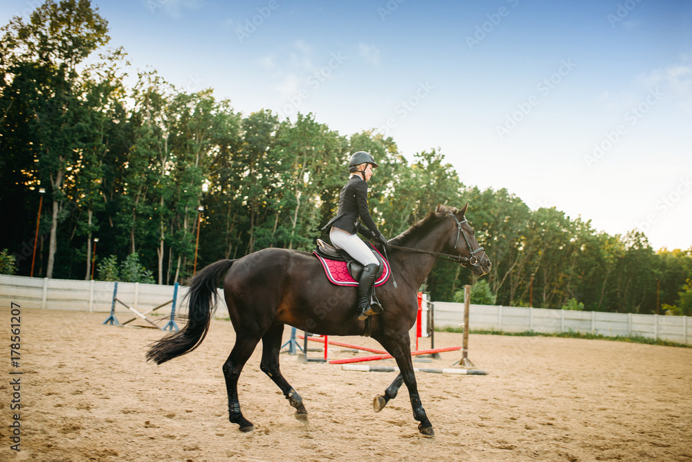 Equestrian sport, young woman rides on horse Equestrian sport, young woman rides on horse