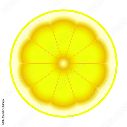 Fresh ripe sliced lemon  isolated on white background, vector illustration
