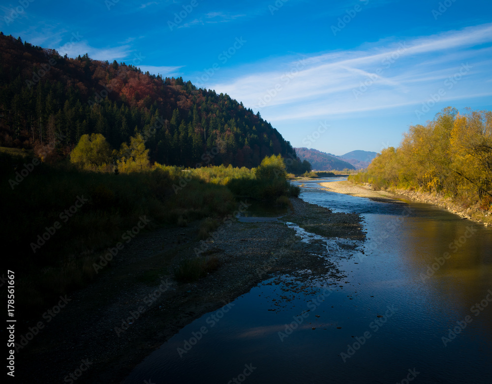 Fototapeta premium River flowing through a forest in autumn