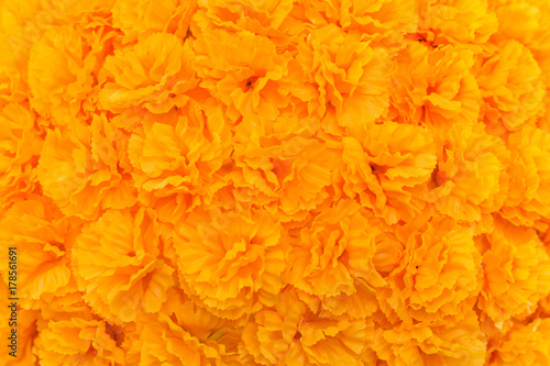 Artificial yellow Flowers lined with a background in horizontal