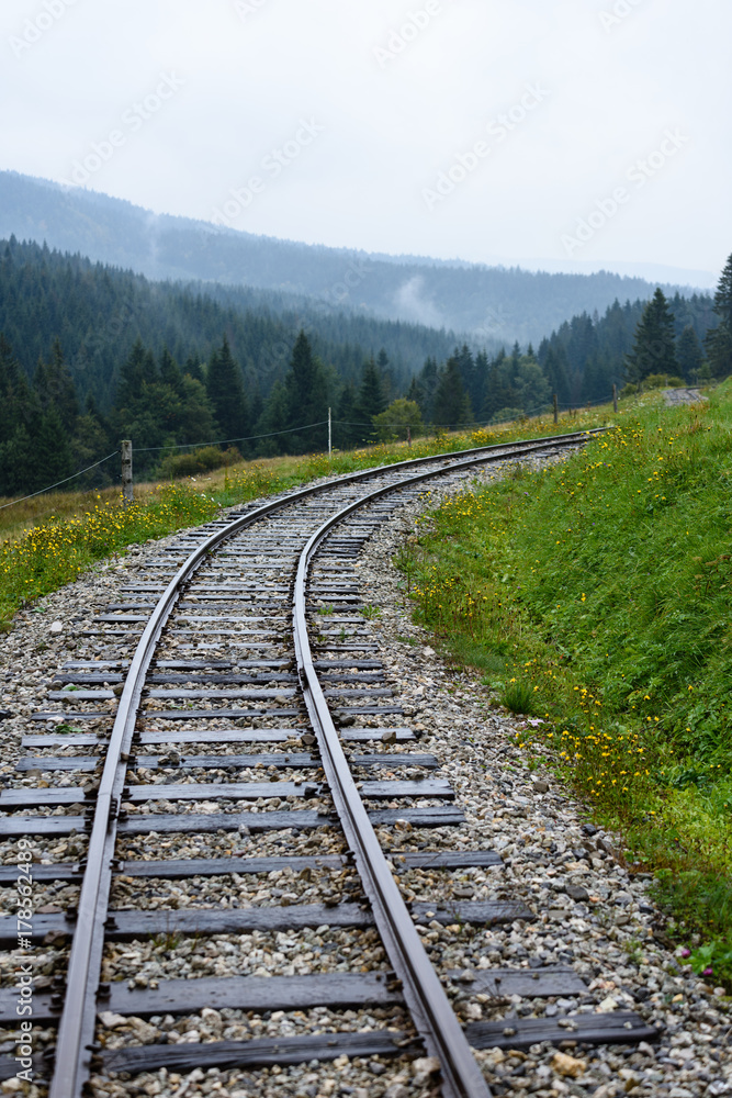 Fototapeta premium wavy railroad tracks in wet summer day in forest