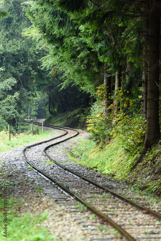 wavy railroad tracks in wet summer day in forest wavy railroad tracks in wet summer day in forest