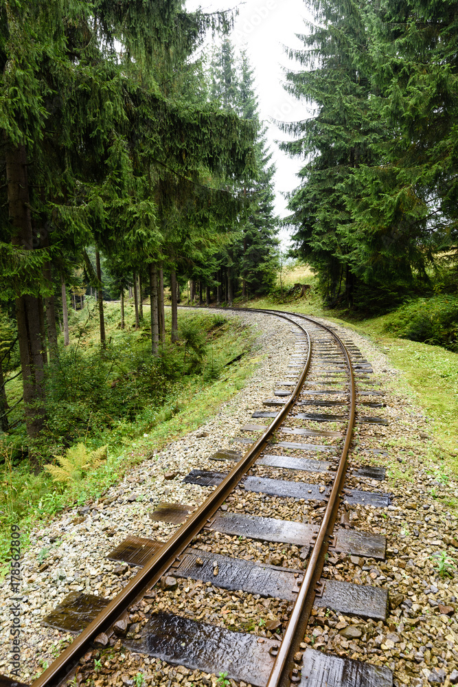 Fototapeta premium wavy railroad tracks in wet summer day in forest