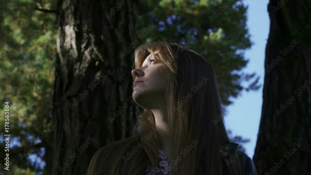 A beautiful girl wanders through the forest. The girl was lost. In the background, the sky. A beautiful girl wanders through the forest. The girl was lost. In the background, the sky.