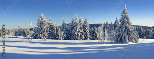 Tief verschneite unberührte Winterlandschaft, schneebedeckte Tannen, blauer Himmel, Sonnenschein