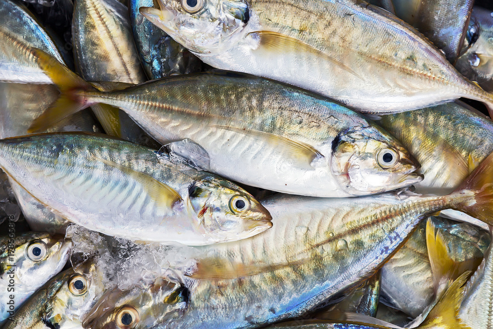 Seafood on ice at the fish market