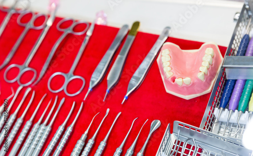 Tableau sur toile Medicine equipment, dentures, dental tools