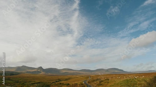 Scotland highlands landscape - group of Sheep in mountains - UK photo