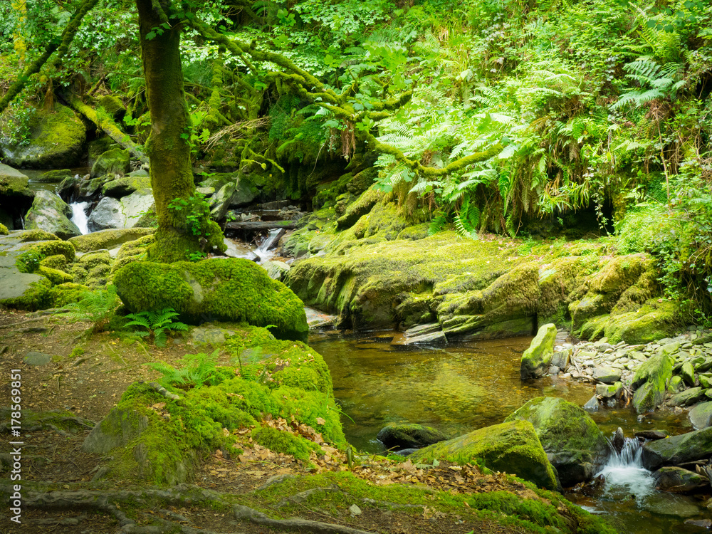 Waterfalls in green Ireland