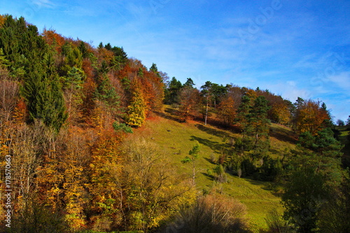 Fototapeta Naklejka Na Ścianę i Meble -  Landschaft im Herbst mit Wiesen und bunten Bäumen in idyllischer Natur in der Eifel