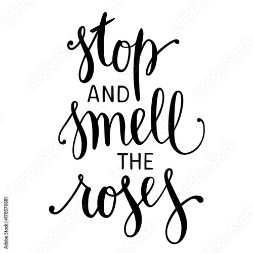 Stop and Smell the Roses. Hand drawn inspirational quote. Brush painted letters, vector illustration.