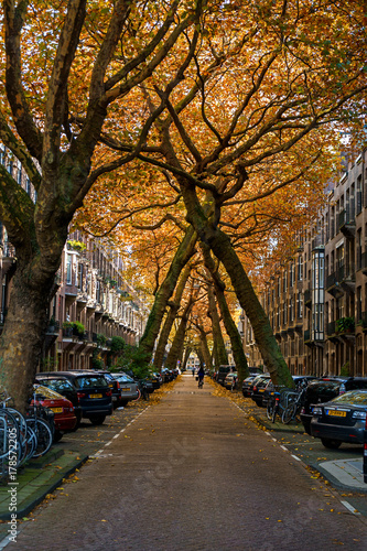 Photography beautiful Lomanstraat street in Amsterdam in autumn with leaning trees, October