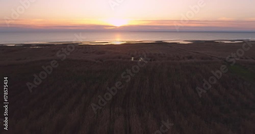 Wallpaper Mural Coastal reed meadow and sea at sunset aerial shot Torontodigital.ca