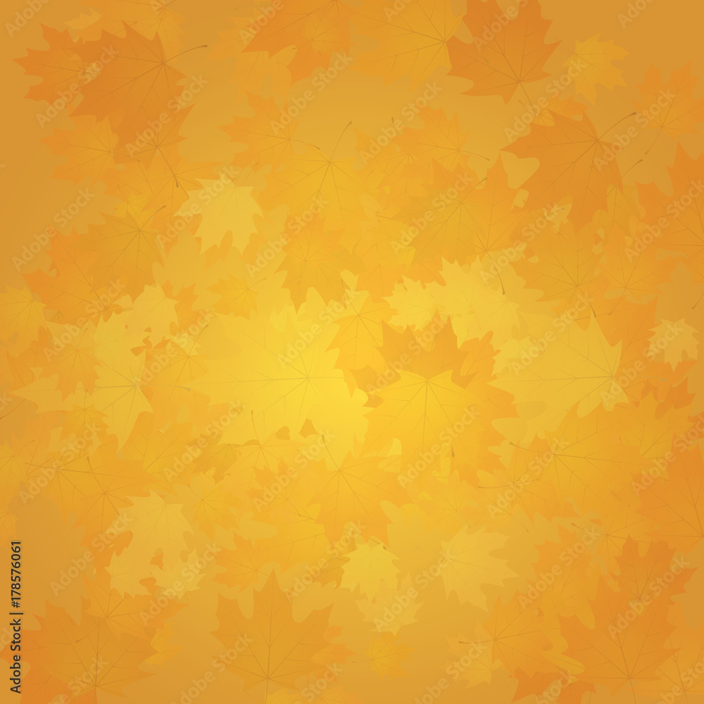 Fototapeta premium Abstract nature background. Scattered leaves. Autumn colors