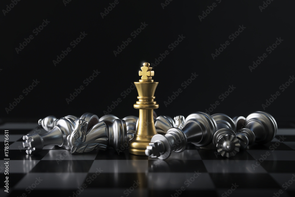 Checkmate on a white background chess black king Vector Image