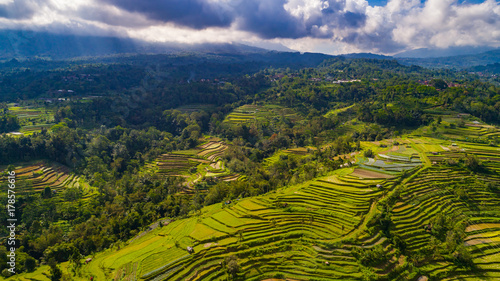 Rice terraces. Bali, indonesia. © mariusltu