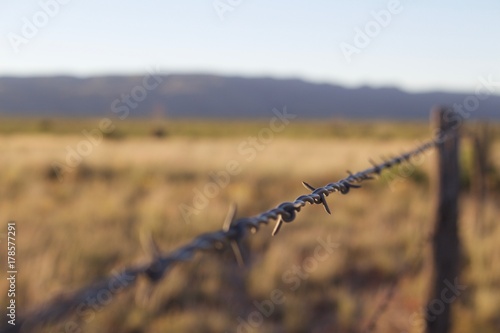 Focused in view of single barb in barbed wire