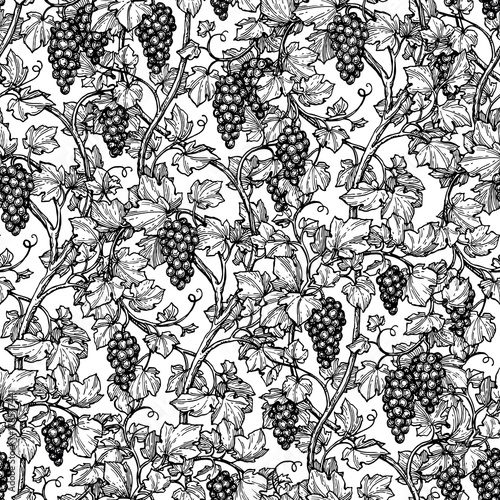 Seamless pattern with grape vine.