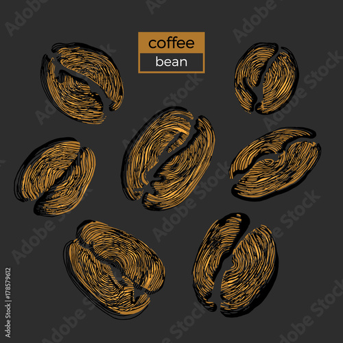 Set of different golden coffee beans on black background. Vector collection. Sketch