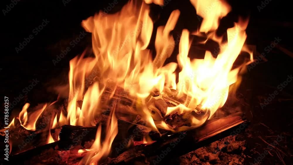 Sheets of paper burn in a fire in the forest. Sheets of paper burn in a fire in the forest.