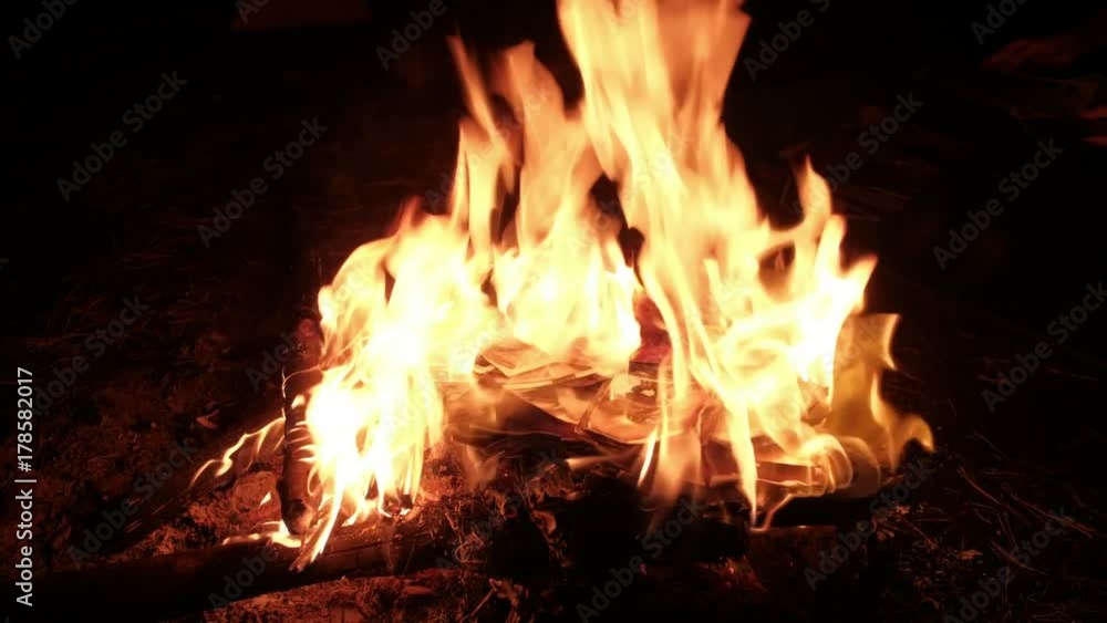 In the forest in the fire burning photos. In the forest in the fire burning photos.