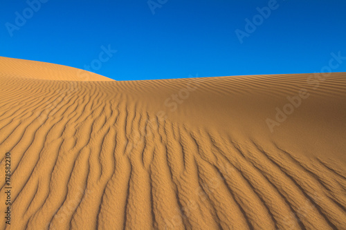 El desierto de Mhamid