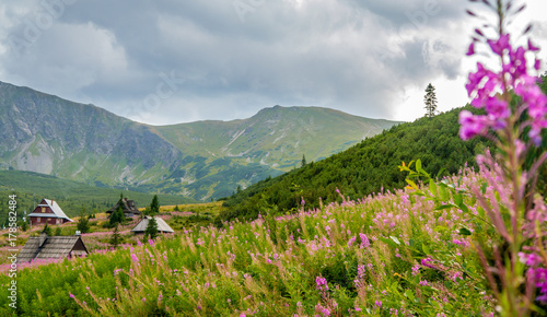 Beautiful scenery in Polish Tatra Mountains photo