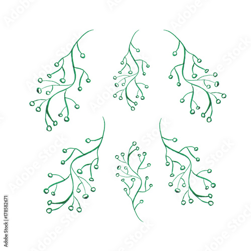 Watercolor floral objects set. Winter branches isolated on white background. Hand drawn plants clip art