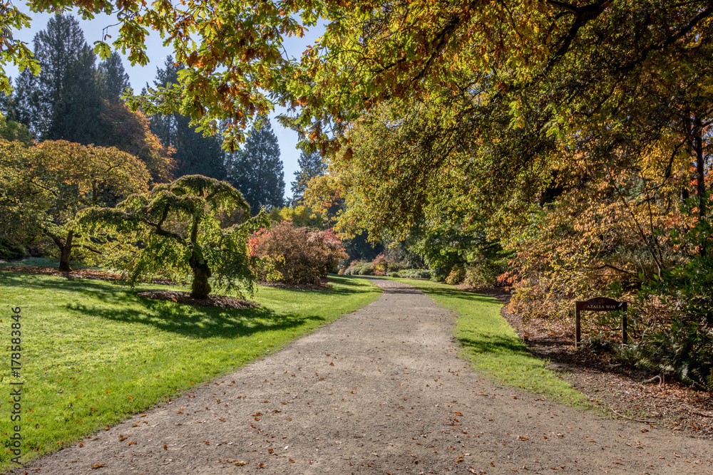 Azela Way Path Seattle Arboretum