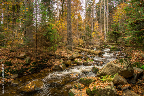 Mountain stream with waterfall in an autumn forest. time exposure