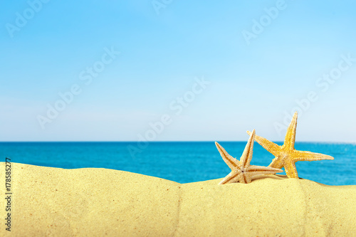 sea shells on sand © fotofabrika
