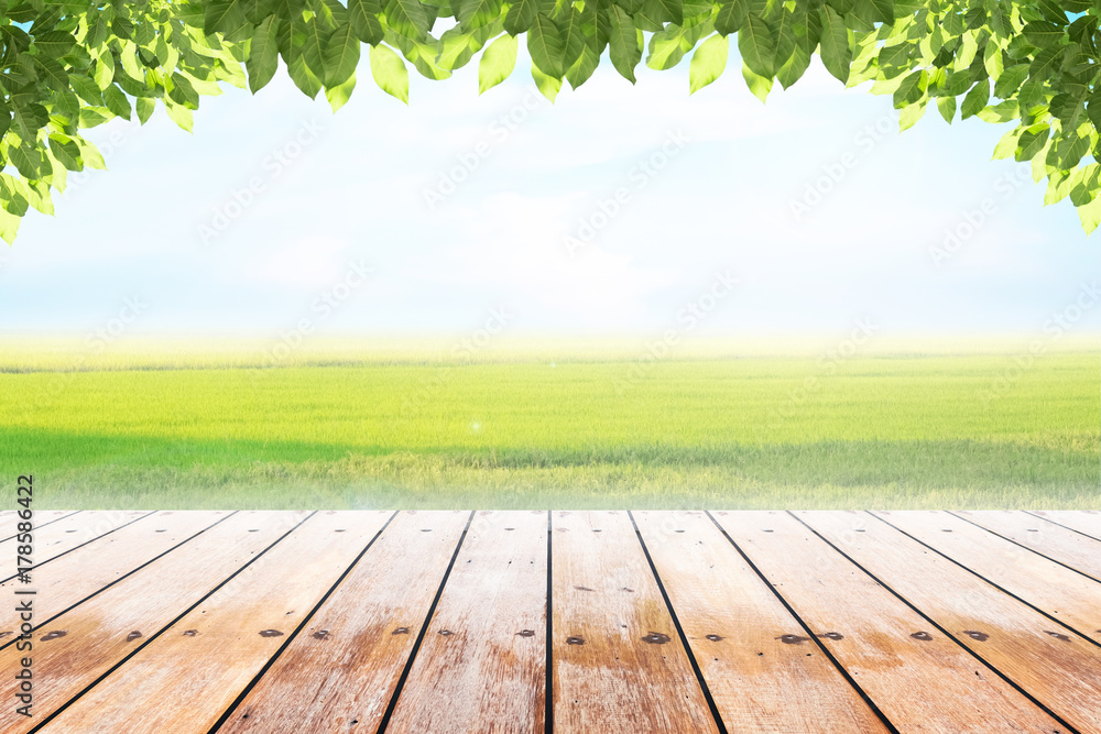 Empty wooden table with party in green wheat field natural and blue skies background blurred. concept party, display, foods, products,natural,farm,organic. Empty wooden table with party in green wheat field natural and blue skies background blurred. concept party, display, foods, products,natural,farm,organic.