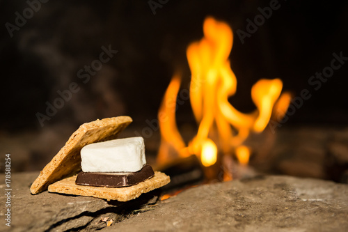Quadro su tela Campfire Smores