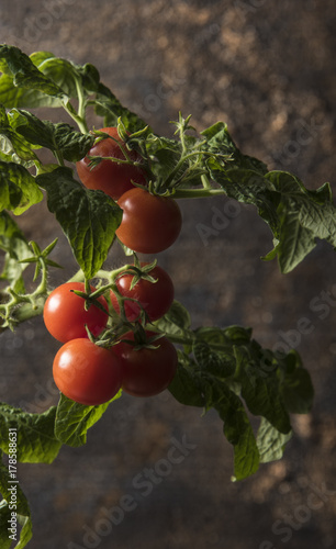 Bunch of ripe tomatoes on rusty metal background