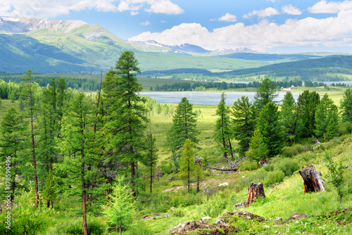 Ulagan lakes in valley on plateau. Altai Republic. Russia photo