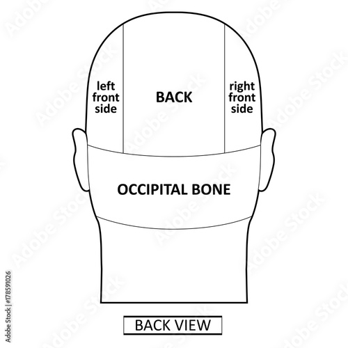 Man head divisions scheme