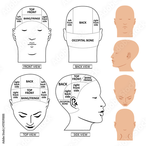 Man head divisions scheme
