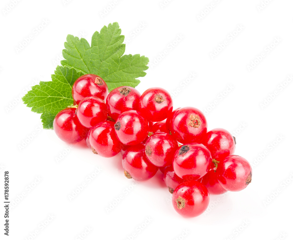 Red currant berries with leaf isolated on white background Red currant berries with leaf isolated on white background